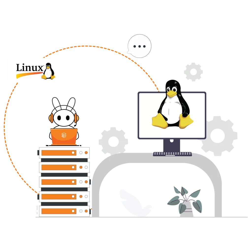 Linux Server Management & Support